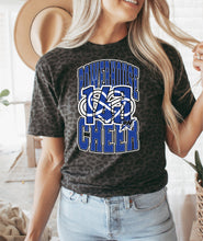 Load image into Gallery viewer, 143 Power House Cheer old school