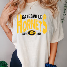 Load image into Gallery viewer, Gatesville Vintage Design
