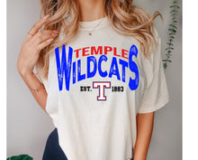 Load image into Gallery viewer, Temple Wildcats Vintage Design

